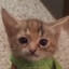 stolenⁿⁱᶜᵏⁿᵃᵐᵉ