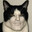 SatoshiSawyer