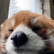 她说是天照烧黑的