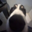 CaptainT_747