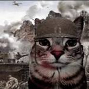 PlayerFatal Ray Cyst