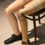 Prosthetic Leg