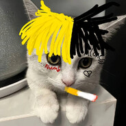 佛罗里达最硬的神