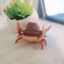 cowboy boy