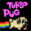 Turbo Pug