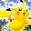 PiKa4u*)