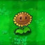 flowey