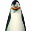kowalski