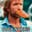 Duck Norris