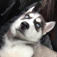 中国电竞新希望