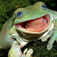 Gambino the Frog