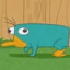 perry the platipus