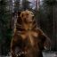 русский медведь