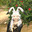 Hope Wolfer's Avatar
