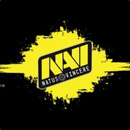 Na'Vi flamieCSGOFAST.com