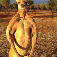 好好学习不玩游戏