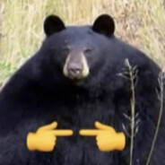 Maciej operator katapulty