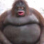 MEEF
