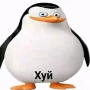 T1ste avatar