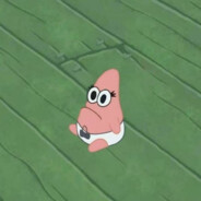 ———下等马分界线———