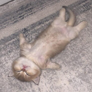 Алдап саяр - steam id 76561199877817878