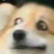 建院新说唱 AKA 母狗杀手