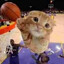 BallinCat43.
