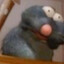 Ezegm