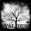 Validus