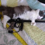 Cpt.FBI - steam id 76561197964347337
