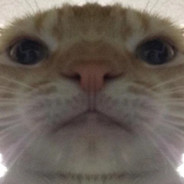 xd
