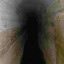 gummo's avatar