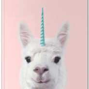 Horni Alpaca