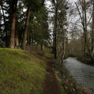 queerandhereandbored