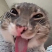 嫂子开门我是我哥