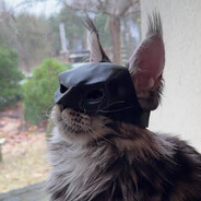 Meowman
