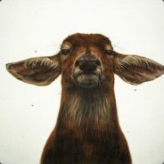 BUDHA CHCE TEAM - steam id 76561197960574614