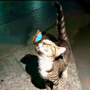 爱吃秘制小汉堡