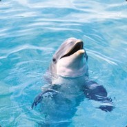 Dolphan