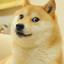 Doge