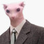 Mr. Bingus