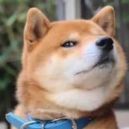 香蕉你个怪怪锤