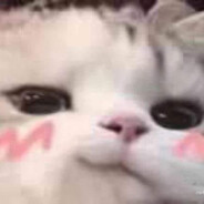 uwu Kitku uwu (◡‿◡✿)