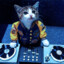 DJCAT