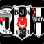 ***Soldiers of Beşiktaş***