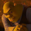 ShrekIsLove