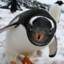 Heribert The Penguin