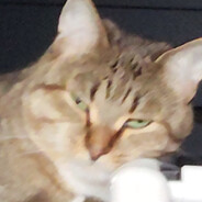 cfgr Steam avatar