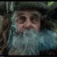 Radagast®