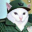 Fidel Catto